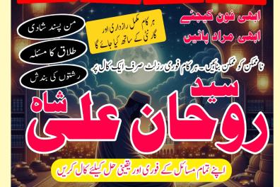 services_propositions_d_affaires Amil baba lahore, Am  